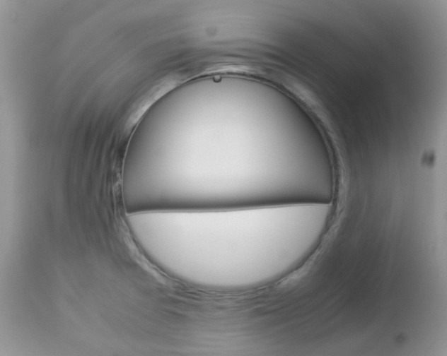 X0000113111377200908281007