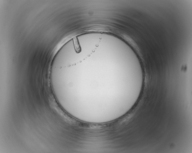 X0000113111378200908281007