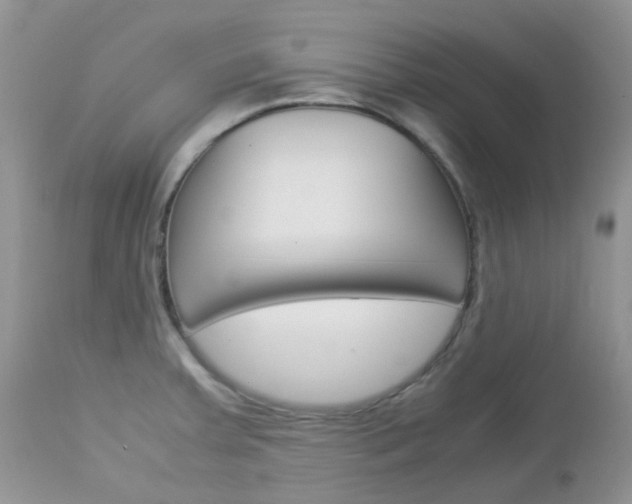 X0000113111379200908281007
