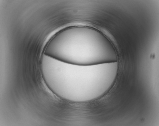 X0000113111380200908281007