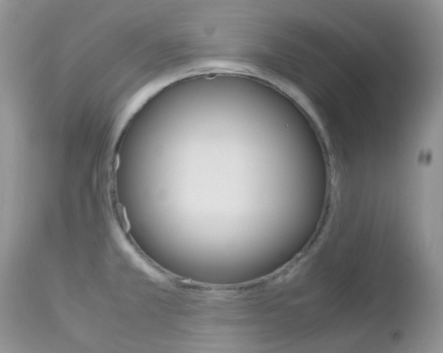 X0000113111381200908281007