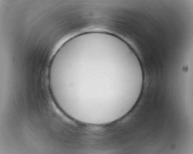 X0000113111382200908281006