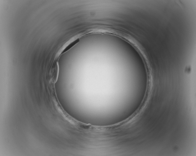 X0000113111385200908281006