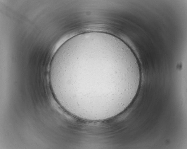 X0000113111386200908281006