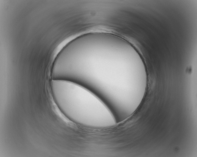 X0000113111387200908281006