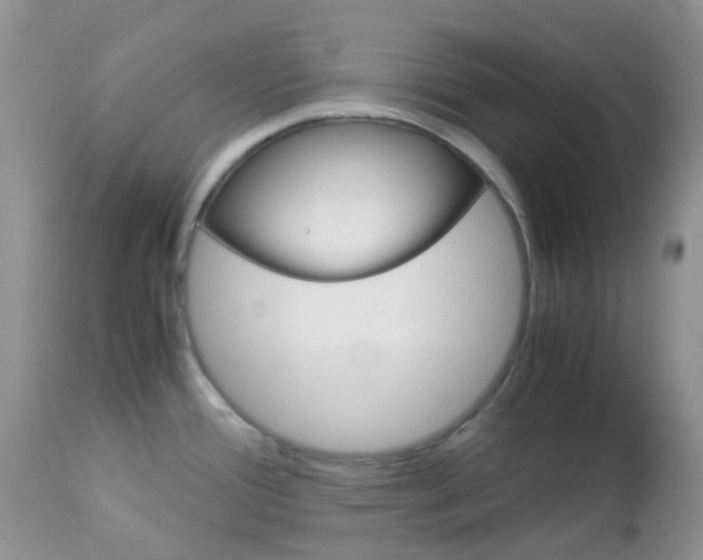 X0000113111388200908281006