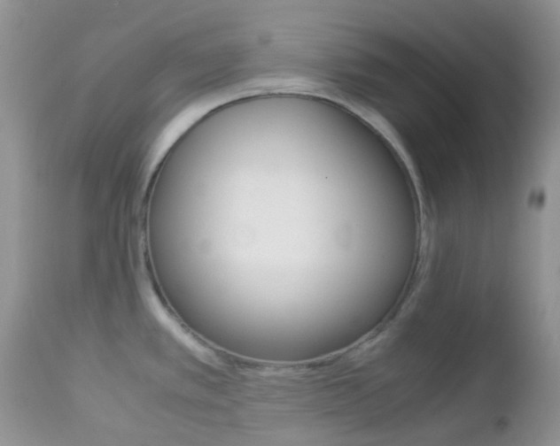 X0000113111389200908281006