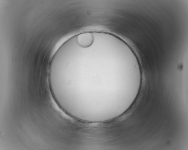 X0000113111390200908281006