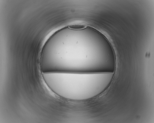 X0000113111392200908281006