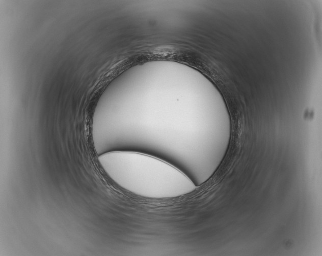 X0000113111394200908281006