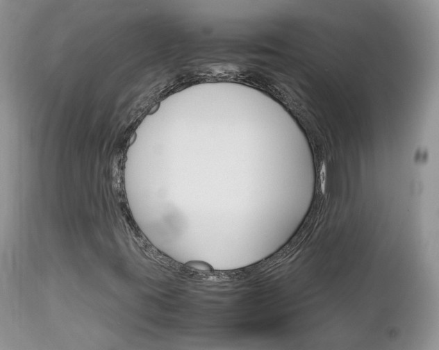 X0000113111395200908281006