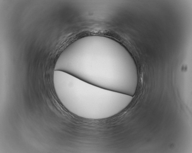 X0000113111396200908281006