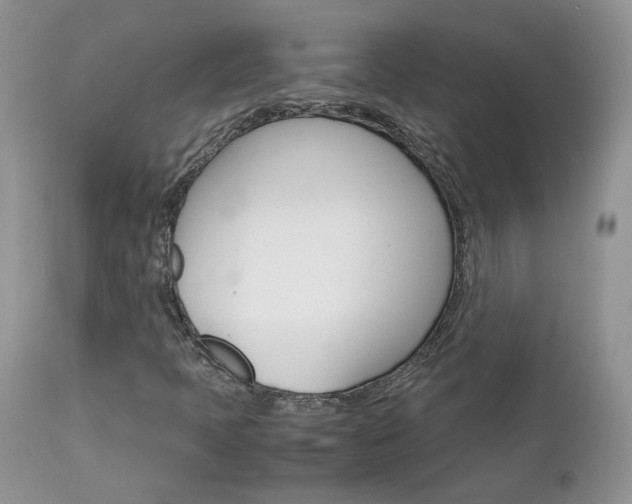 X0000113111397200908281006
