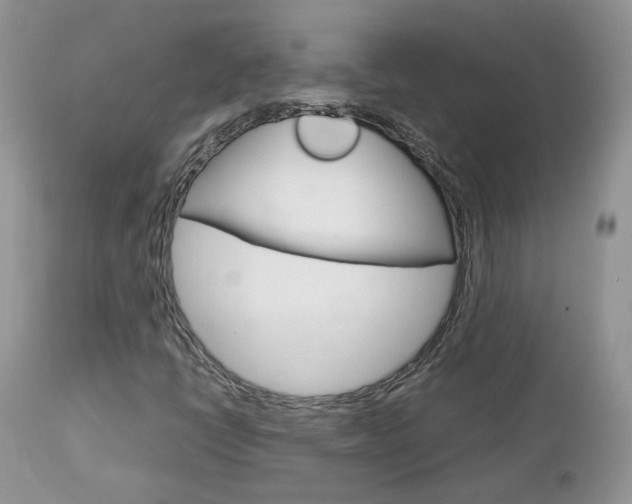 X0000113111398200908281006