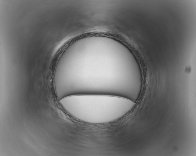 X0000113111400200908281006