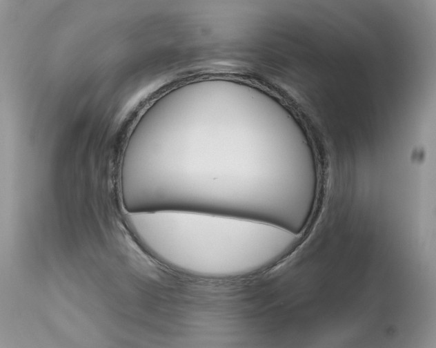 X0000113111402200908281006