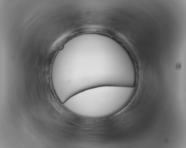X0000113111403200908281006