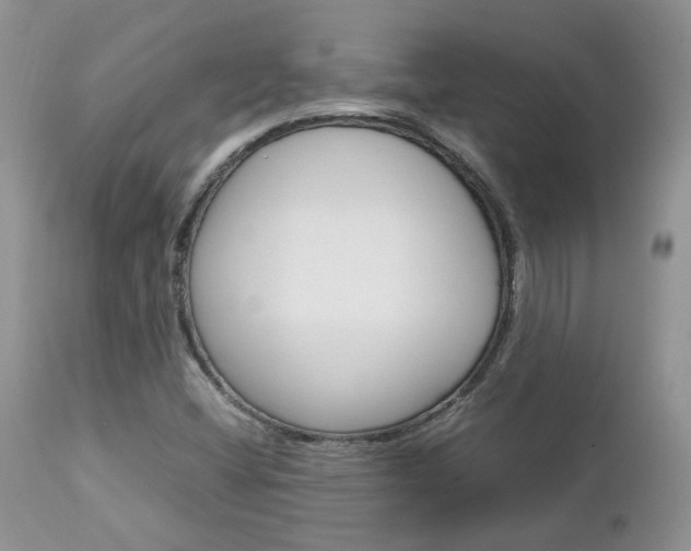 X0000113111404200908281006
