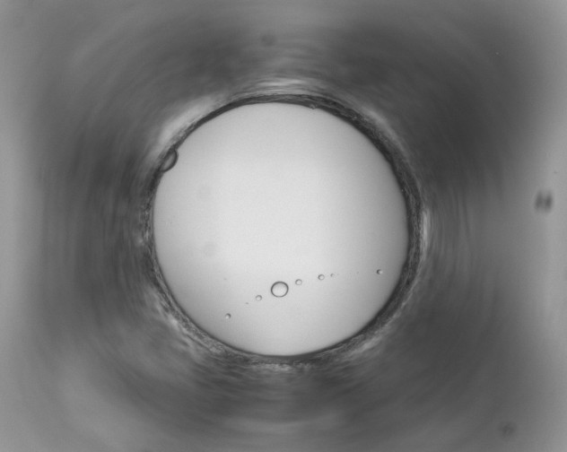 X0000113111405200908281006