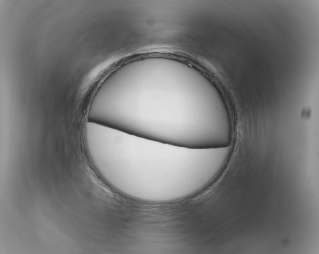 X0000113111406200908281006