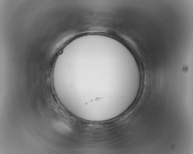 X0000113111407200908281006