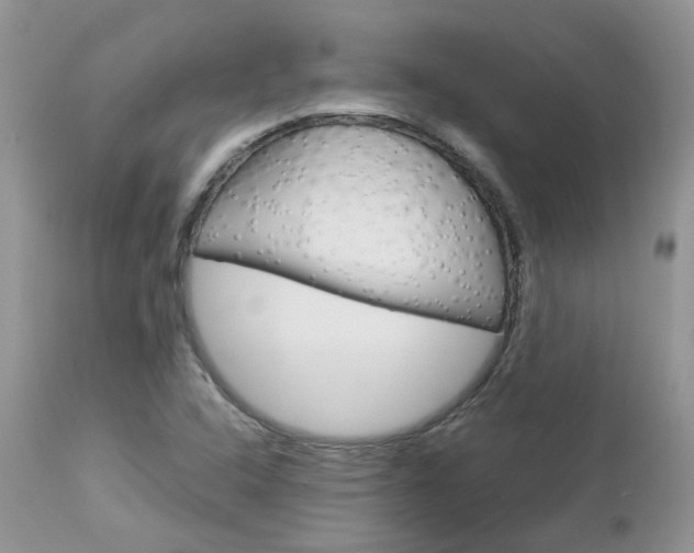 X0000113111408200908281006