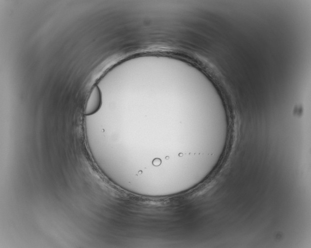 X0000113111409200908281006