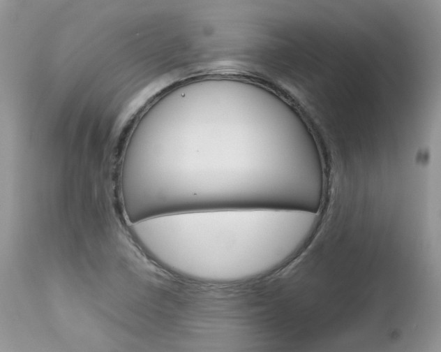 X0000113111410200908281006