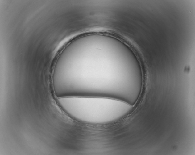 X0000113111412200908281006