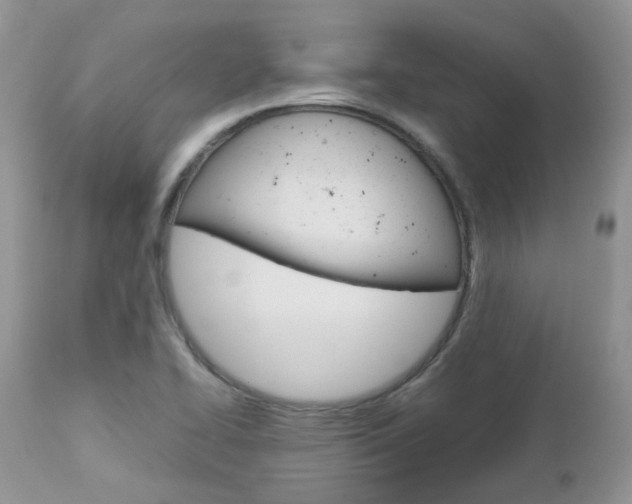X0000113111414200908281006