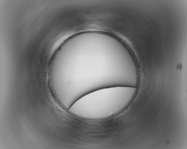 X0000113111415200908281006