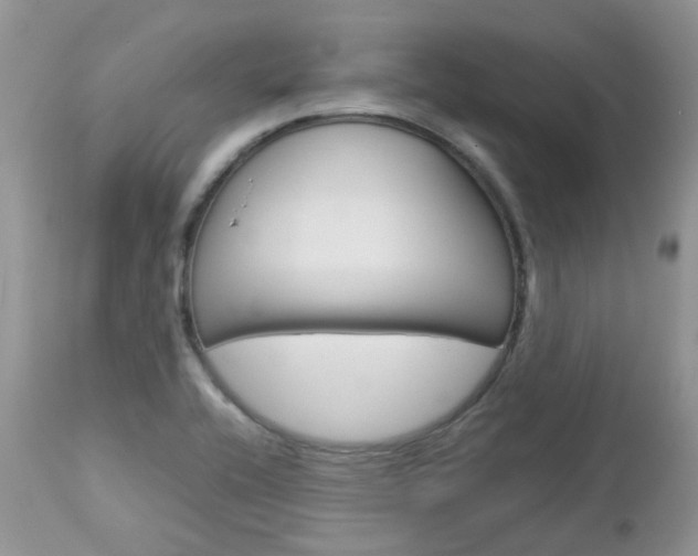 X0000113111416200908281006