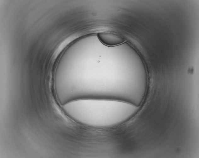 X0000113111418200908281006