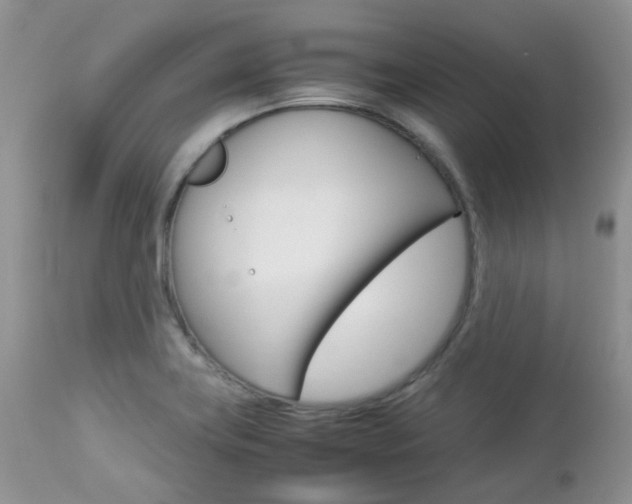 X0000113111419200908281006