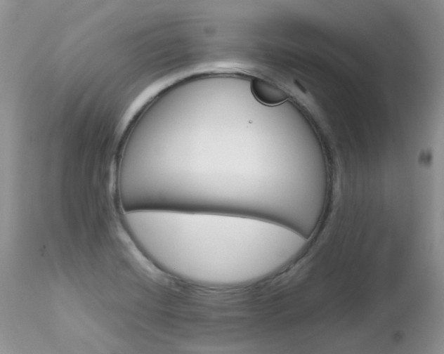 X0000113111420200908281006