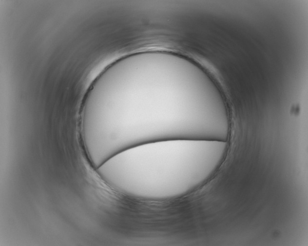 X0000113111423200908281006