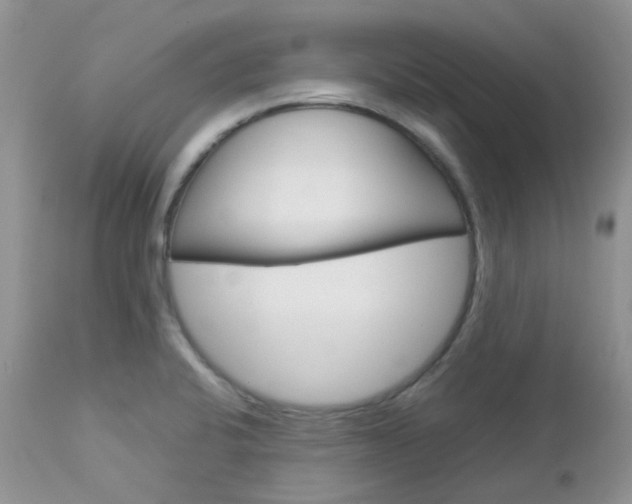 X0000113111424200908281006