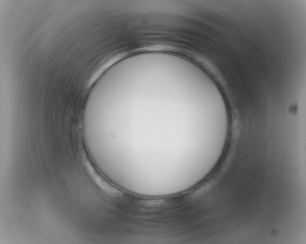 X0000113111425200908281006