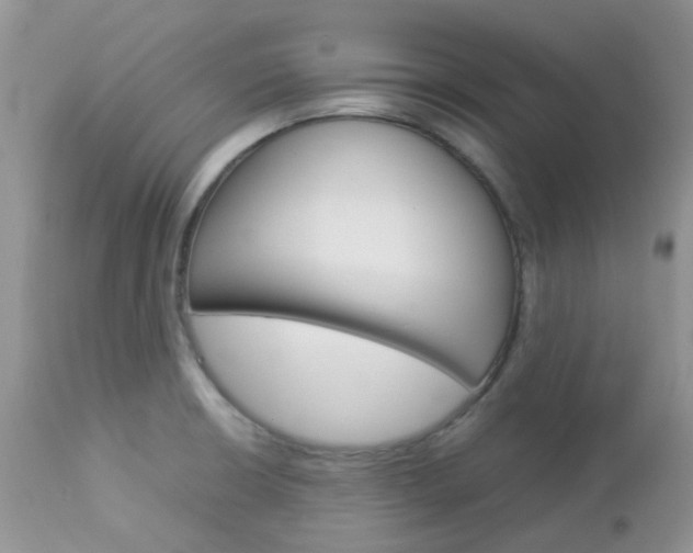 X0000113111426200908281006