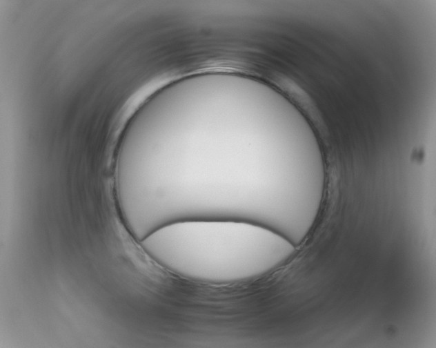 X0000113111427200908281006