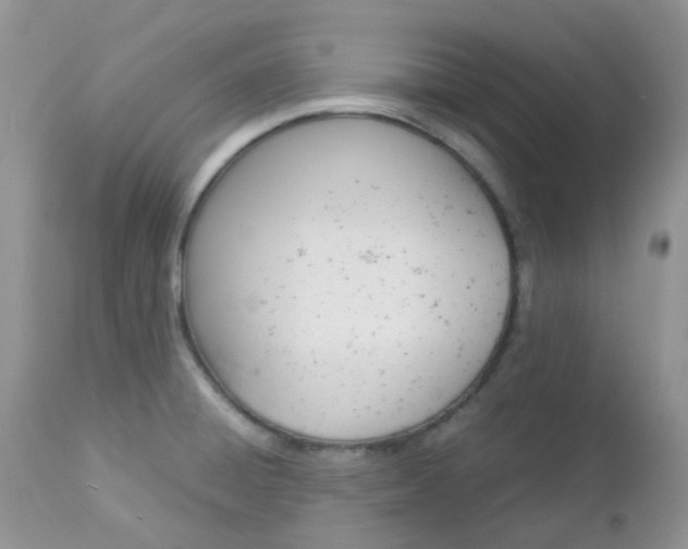 X0000113111428200908281006