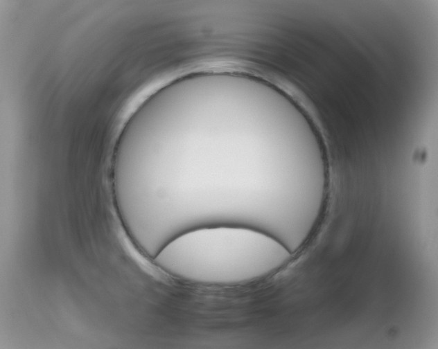 X0000113111429200908281006