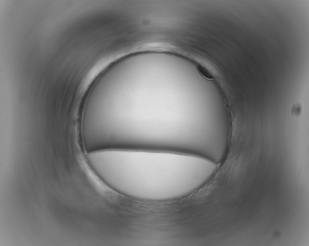 X0000113111430200908281006