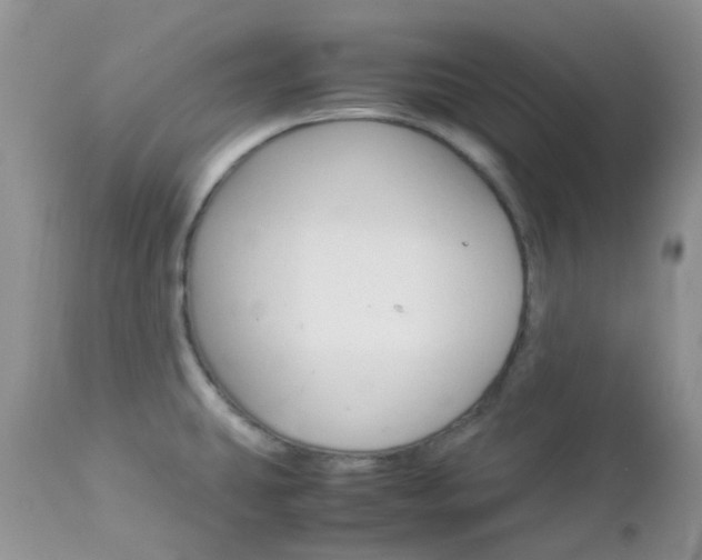 X0000113111431200908281006