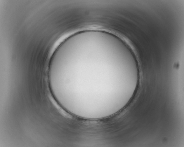 X0000113111432200908281006