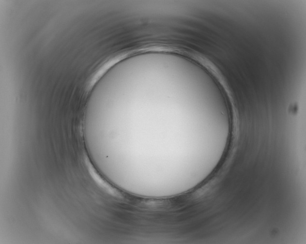X0000113111433200908281006