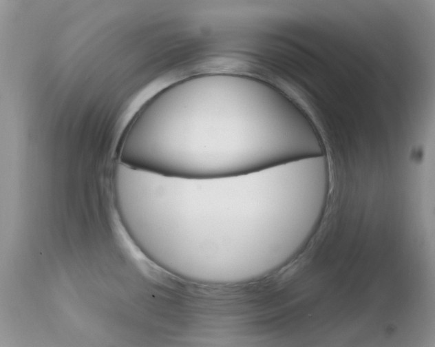 X0000113111434200908281006