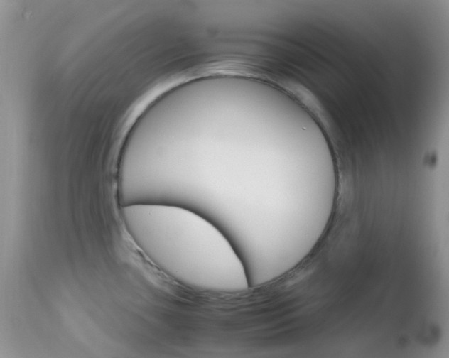 X0000113111435200908281006