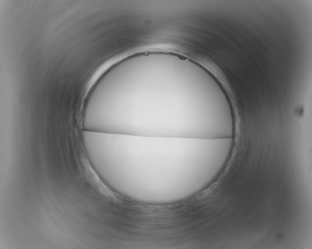 X0000113111436200908281006