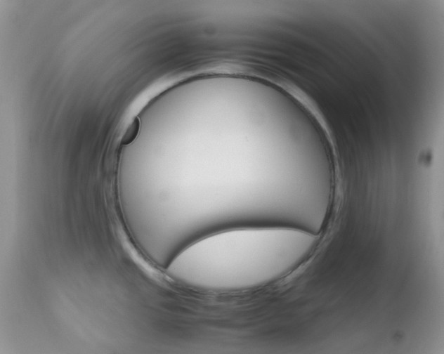 X0000113111437200908281006